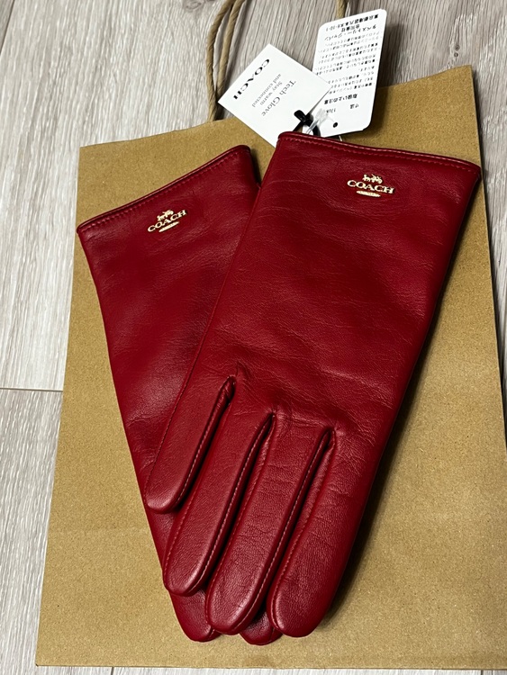 その他 コーチ （ブランドバッグ）の商品画像 - 査定依頼日：2025年7月29日 - 最高査定価格：7,000円