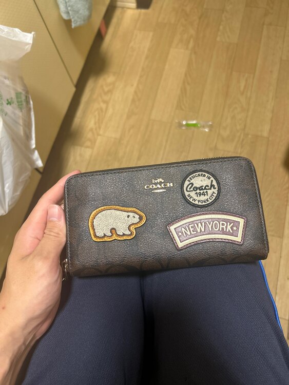 その他 コーチ （ブランドバッグ）の商品画像 - 査定依頼日：2025年6月1日 - 最高査定価格：5,000円