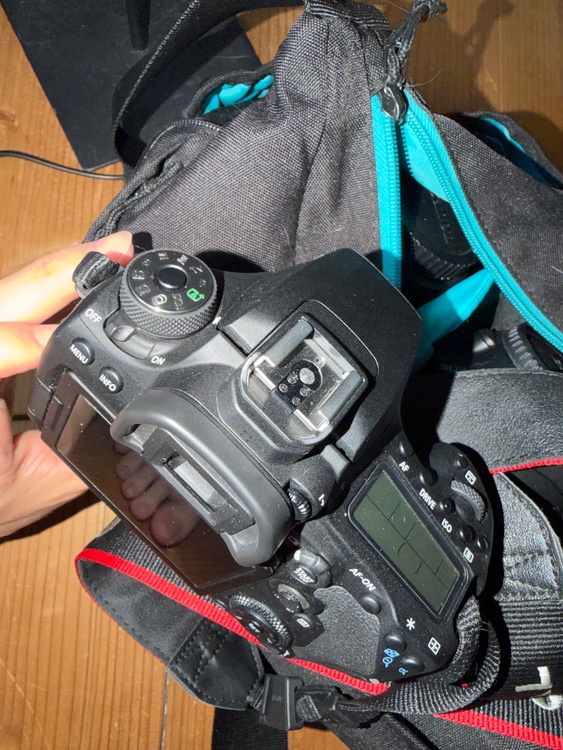 canon 90D（カメラ）の商品画像 - 査定依頼日：2026年6月2日 - 最高査定価格：80,000円