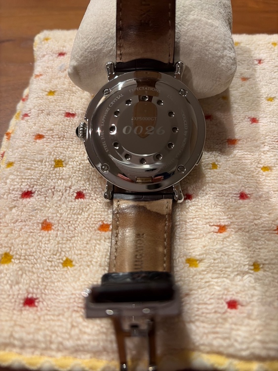 その他 その他 GSX  EXP5000Gt（高級時計）の商品画像 - 査定依頼日：2026年3月25日 - 最高査定価格：24,000円