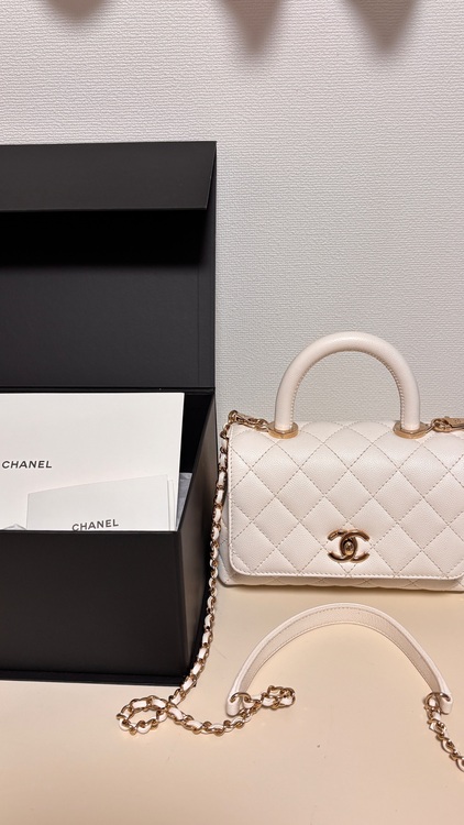 AS2215（ブランドバッグ）の商品画像 - 査定依頼日：2025年11月17日 - 最高査定価格：520,000円