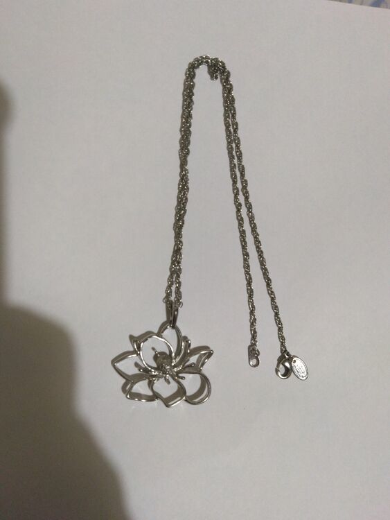 フォリフォリネックレス（金・貴金属）の商品画像 - 査定依頼日：2025年8月5日 - 最高査定価格：500円