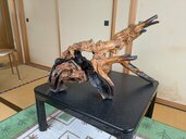 木の置物（美術品・骨董品）の商品画像 - 査定依頼日：2026年9月4日 - 最高査定価格：3,000円