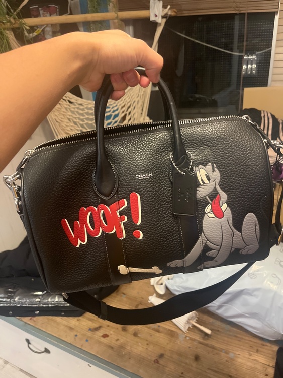 その他 コーチ （ブランドバッグ）の商品画像 - 査定依頼日：2025年12月17日 - 最高査定価格：3,000円