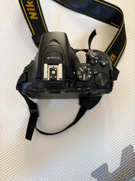 d5600 ダブルズームキット（カメラ）の商品画像 - 査定依頼日：2025年10月9日 - 最高査定価格：55,000円