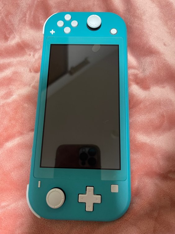 Nintendo Switch lite（ゲーム機本体・ゲームソフト）の商品画像 - 査定依頼日：2023年5月9日 - 最高査定価格：6,500円