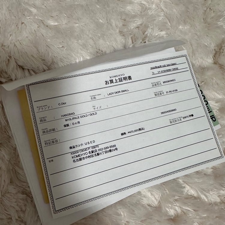 レディーディオール　ゴールド（ブランドバッグ）の商品画像 - 査定依頼日：2026年4月14日 - 最高査定価格：250,000円