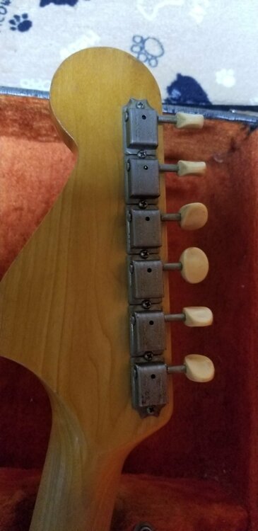 フェンダームスタング1964年（ピアノ・楽器・PA機材）の商品画像 - 査定依頼日：2026年4月4日 - 最高査定価格：320,000円