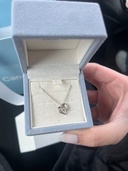 Canal4°C シルバーネックレス（金・貴金属）の商品画像 - 査定依頼日：2026年3月15日 - 最高査定価格：100,000円