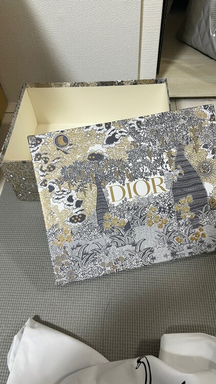 レディディオール（ブランドバッグ）の商品画像 - 査定依頼日：2025年2月16日 - 最高査定価格：170,000円