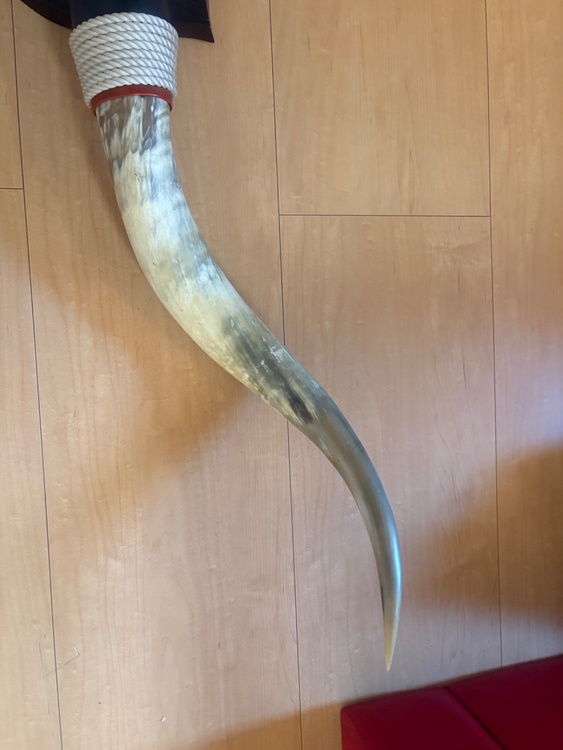 水牛の角？（美術品・骨董品）の商品画像 - 査定依頼日：2026年7月25日 - 最高査定価格：500円