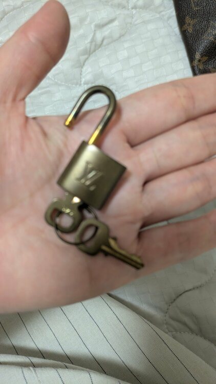 ルイヴィトン スピーディー（ブランドバッグ）の商品画像 - 査定依頼日：2026年8月22日 - 最高査定価格：40,000円