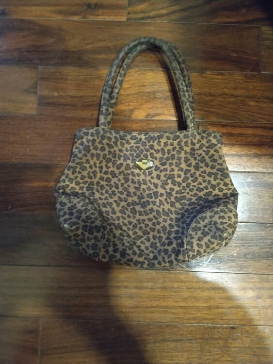 ボッテガヴェネタ　バック（ブランドバッグ）の商品画像 - 査定依頼日：2025年12月9日 - 最高査定価格：3,000円