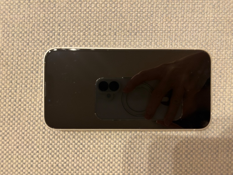 iPhone iPhone 13 256GB SIMフリー（スマホ）の商品画像 - 査定依頼日：2026年10月14日 - 最高査定価格：24,500円