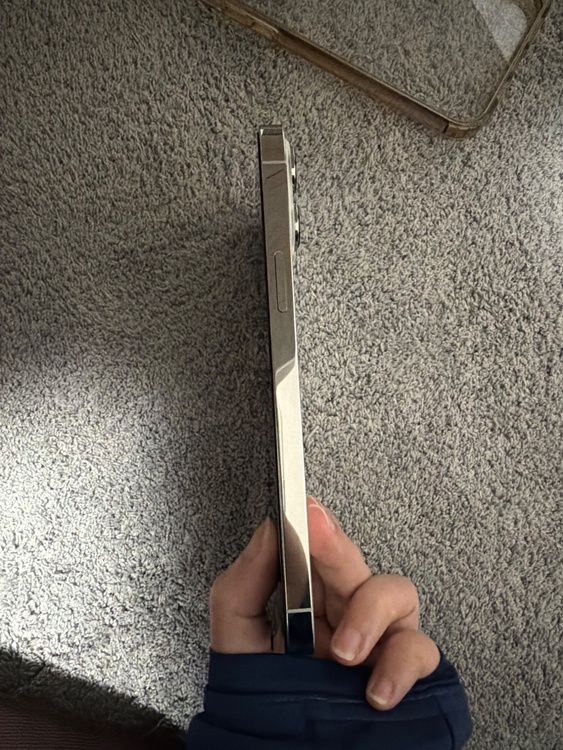 iPhone13Pro Max（スマホ）の商品画像 - 査定依頼日：2026年4月2日 - 最高査定価格：51,000円