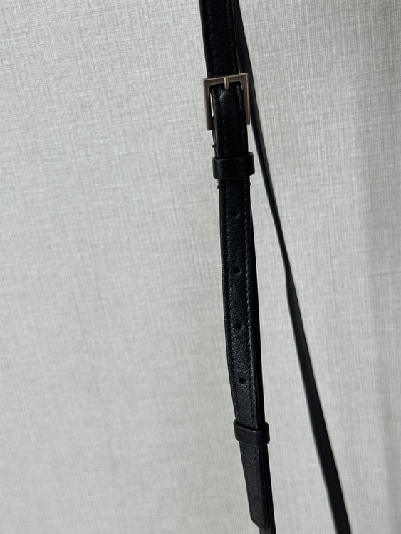 YSL ルーカメラバッグ（ブランドバッグ）の商品画像 - 査定依頼日：2025年12月2日 - 最高査定価格：30,000円