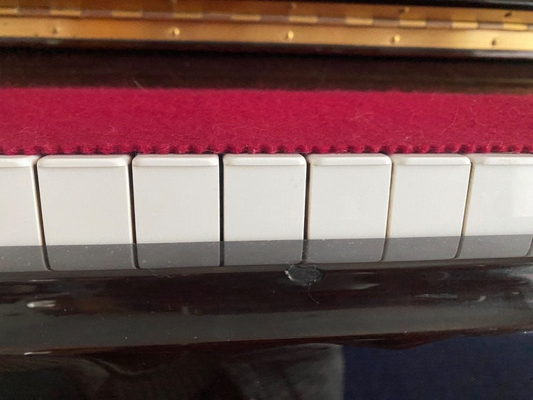 STOCK HAUSEN SPU-121WN 16572（ピアノ・楽器・PA機材）の商品画像 - 査定依頼日：2026年2月11日 - 最高査定価格：10,000円