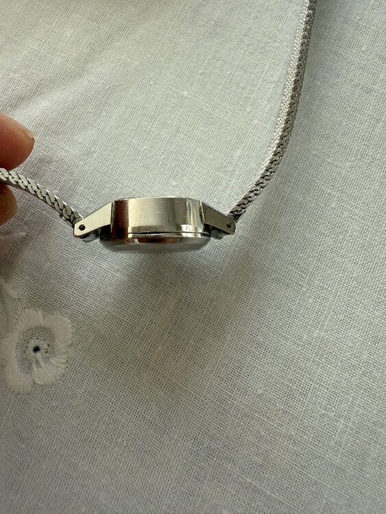 ジュネーブ（高級時計）の商品画像 - 査定依頼日：2025年5月11日 - 最高査定価格：20,000円