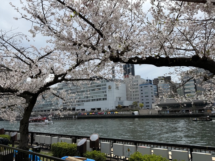 EOSD70（カメラ）の商品画像 - 査定依頼日：2026年4月18日 - 最高査定価格：36,000円