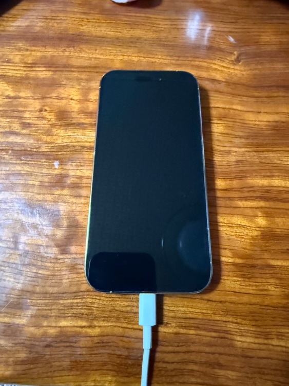 14プロ　ゴールド（スマホ）の商品画像 - 査定依頼日：2026年2月24日 - 最高査定価格：66,000円