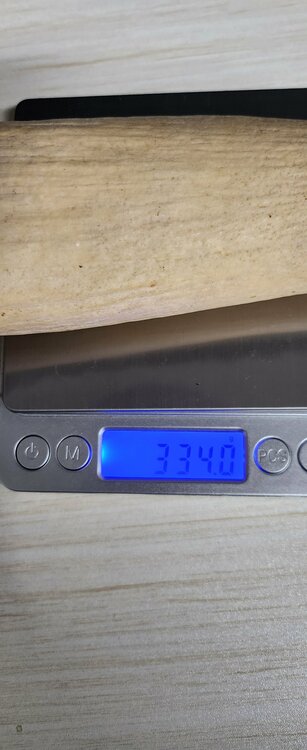 マッコウクジラ　牙（美術品・骨董品）の商品画像 - 査定依頼日：2025年12月22日 - 最高査定価格：20,000円