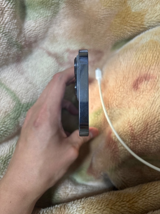 iPhone 13 Pro 256GB au（スマホ）の商品画像 - 査定依頼日：2026年3月1日 - 最高査定価格：31,000円