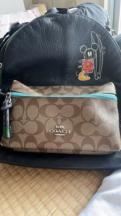 グッチ  （ブランドバッグ）の商品画像 - 査定依頼日：2024年12月30日 - 最高査定価格：3,000円