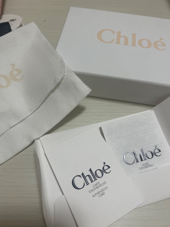 その他 クロエ （ブランドバッグ）の商品画像 - 査定依頼日：2025年8月29日 - 最高査定価格：20,000円