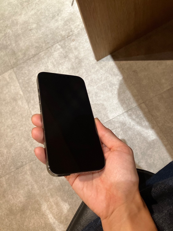 iPhone iPhone 13 Pro 256GB SIMフリー（スマホ）の商品画像 - 査定依頼日：2026年6月11日 - 最高査定価格：55,000円