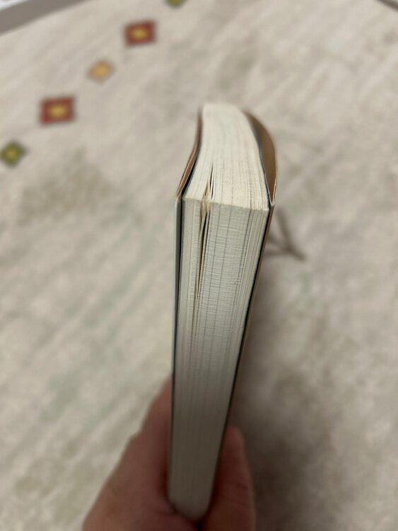 ビビビの貧乏時代（古本）の商品画像 - 査定依頼日：2025年1月23日 - 最高査定価格：400円