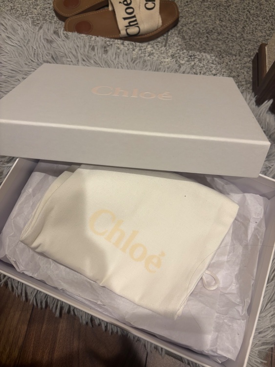 その他 クロエ （ブランドバッグ）の商品画像 - 査定依頼日：2026年1月14日 - 最高査定価格：10,000円