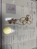 ネックレス（宝石）の商品画像 - 査定依頼日：2025年10月20日 - 最高査定価格：100,000円