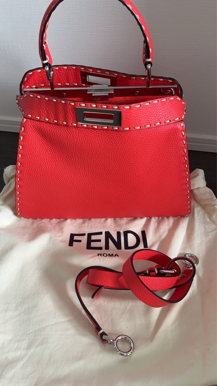 ピーカブーレギュラーサイズ（ブランドバッグ）の商品画像 - 査定依頼日：2025年11月24日 - 最高査定価格：180,000円