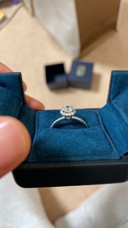 ハリーウィンストン（宝石）の商品画像 - 査定依頼日：2022年6月6日 - 最高査定価格：1,100,000円