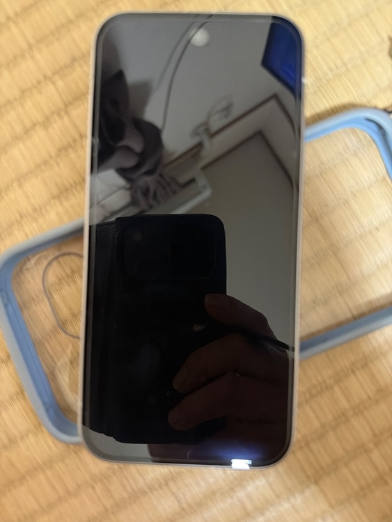 Pixel Pixel 9シリーズ SoftBank（スマホ）の商品画像 - 査定依頼日：2026年9月18日 - 最高査定価格：47,500円