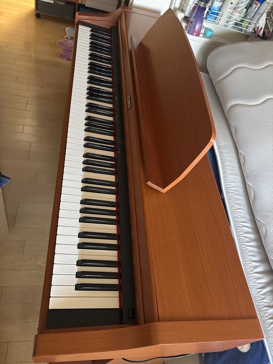 MUSICAL INSTRUMENT   PN 290Ｃ　9474278（ピアノ・楽器・PA機材）の商品画像 - 査定依頼日：2025年12月20日 - 最高査定価格：5,000円