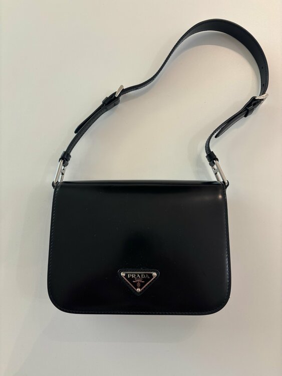 mini（ブランドバッグ）の商品画像 - 査定依頼日：2026年4月29日 - 最高査定価格：120,000円