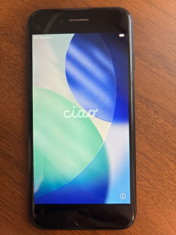 iPhone SE (第 2 世代) 64GB Softbank（スマホ）の商品画像 - 査定依頼日：2026年3月21日 - 最高査定価格：13,000円