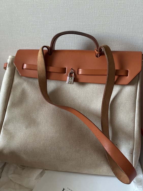 エールバック（ブランドバッグ）の商品画像 - 査定依頼日：2026年1月25日 - 最高査定価格：100,000円