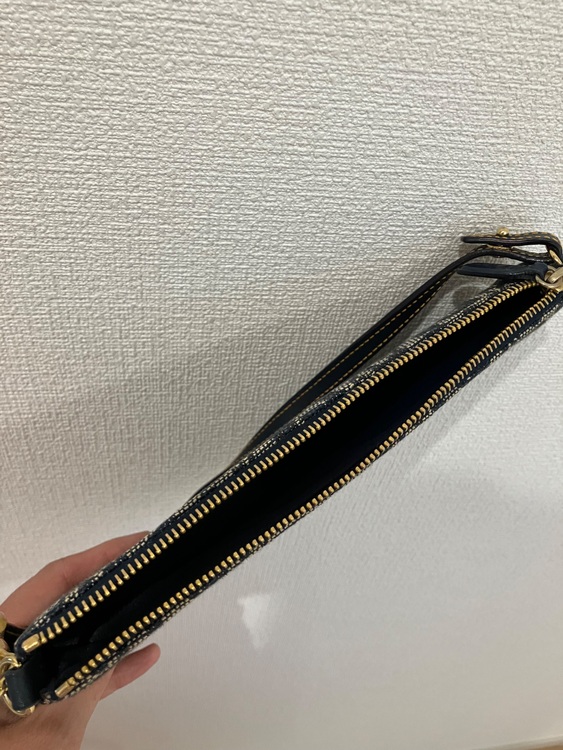 ディオール  （ブランドバッグ）の商品画像 - 査定依頼日：2025年6月10日 - 最高査定価格：80,000円