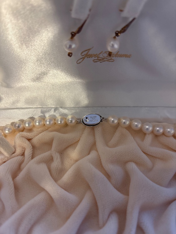 パールネックレス（宝石）の商品画像 - 査定依頼日：2026年3月10日 - 最高査定価格：20,000円