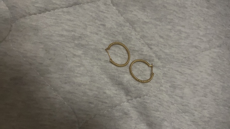 ピアス（金・貴金属）の商品画像 - 査定依頼日：2026年10月4日 - 最高査定価格：200,000円