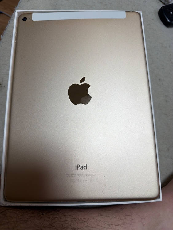 iPad Air2（PC・タブレット）の商品画像 - 査定依頼日：2026年6月14日 - 最高査定価格：100,000円