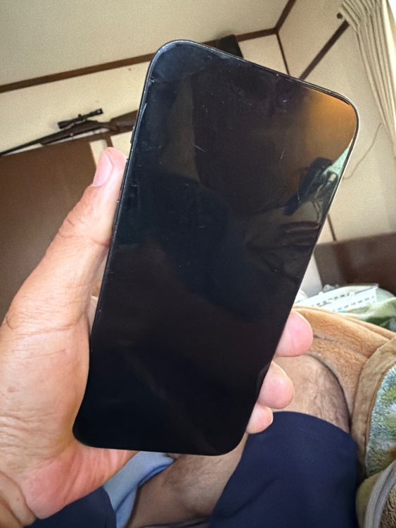iPhone iPhone 15 Pro Max 1TB Softbank（スマホ）の商品画像 - 査定依頼日：2026年6月12日 - 最高査定価格：105,000円