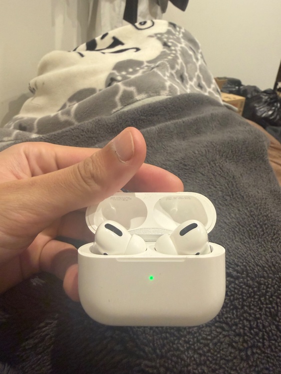 AirPods Pro第一世代（オーディオ・スピーカー）の商品画像 - 査定依頼日：2026年7月31日