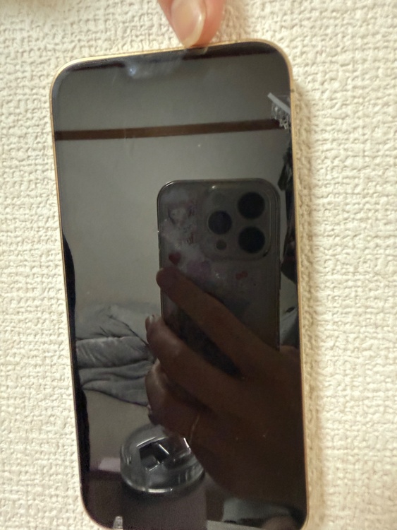 iPhone13por（スマホ）の商品画像 - 査定依頼日：2026年4月6日 - 最高査定価格：31,000円