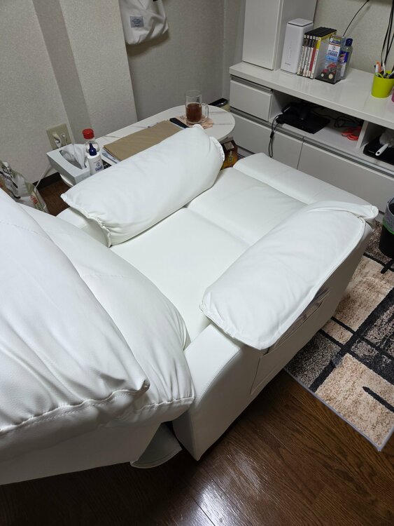 その他 その他 （ブランドバッグ）の商品画像 - 査定依頼日：2026年4月15日 - 最高査定価格：1,000円