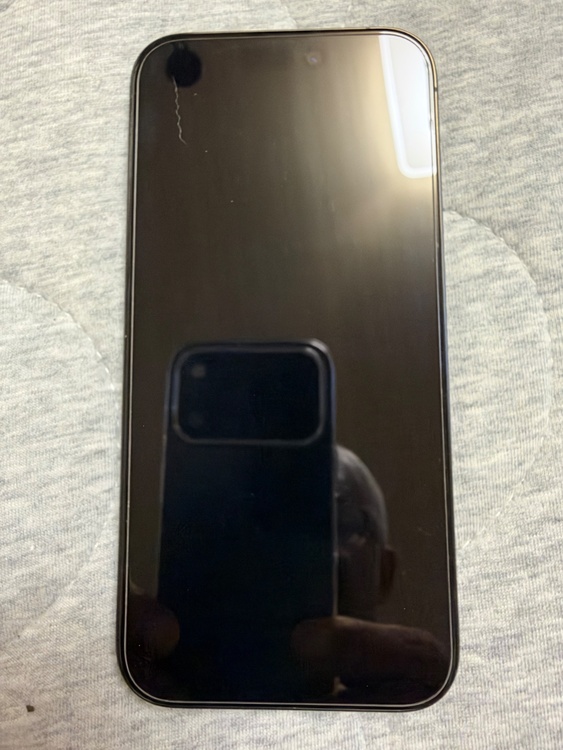 iPhone iPhone 15 Pro 256GB SIMフリー（スマホ）の商品画像 - 査定依頼日：2026年9月21日 - 最高査定価格：92,000円