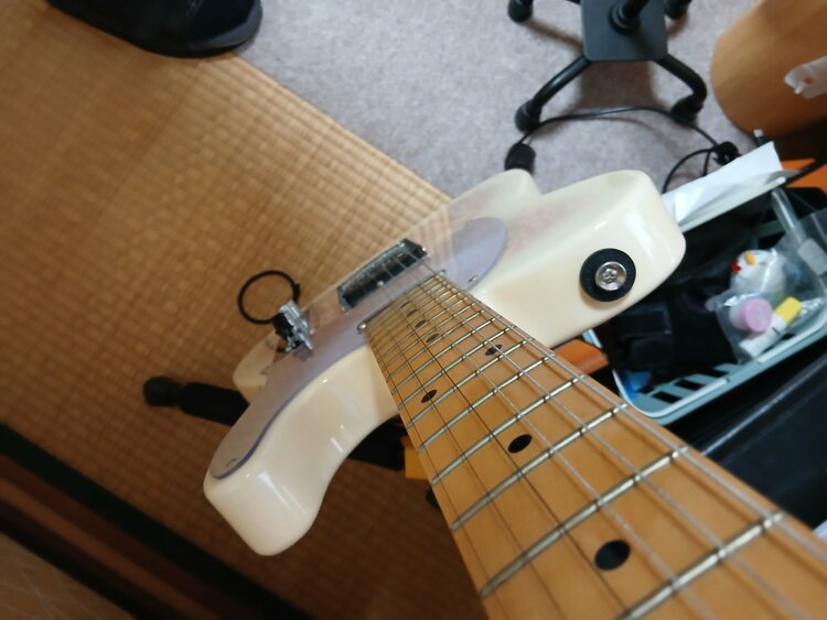 Tokai ate 100M サクラ柄（ピアノ・楽器・PA機材）の商品画像 - 査定依頼日：2025年12月21日 - 最高査定価格：60,000円