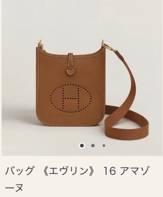 ミニエブリン（ブランドバッグ）の商品画像 - 査定依頼日：2025年10月7日 - 最高査定価格：350,000円